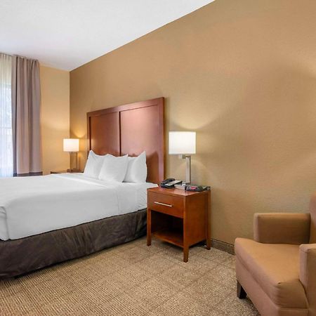 Comfort Inn & Suites Northeast - Gateway Sint-Petersburg Buitenkant foto