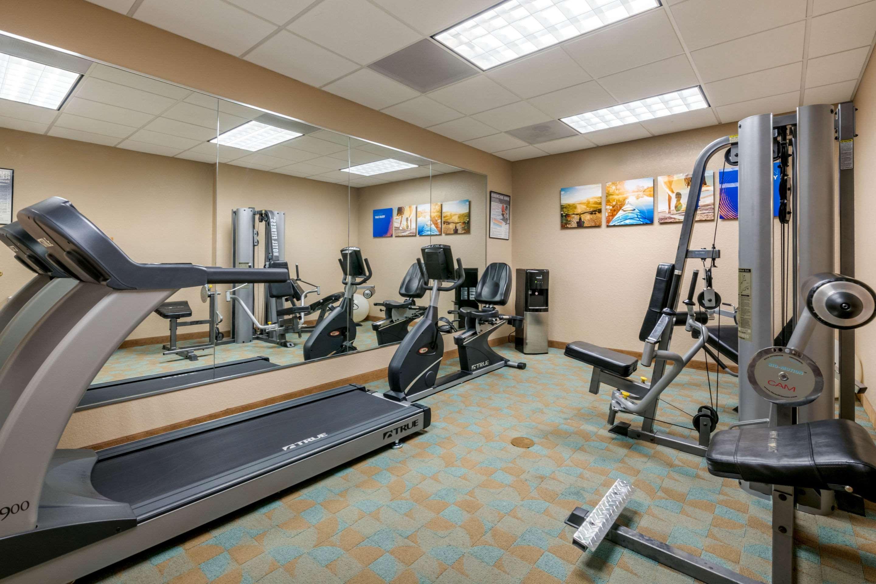 Comfort Inn & Suites Northeast - Gateway Sint-Petersburg Buitenkant foto