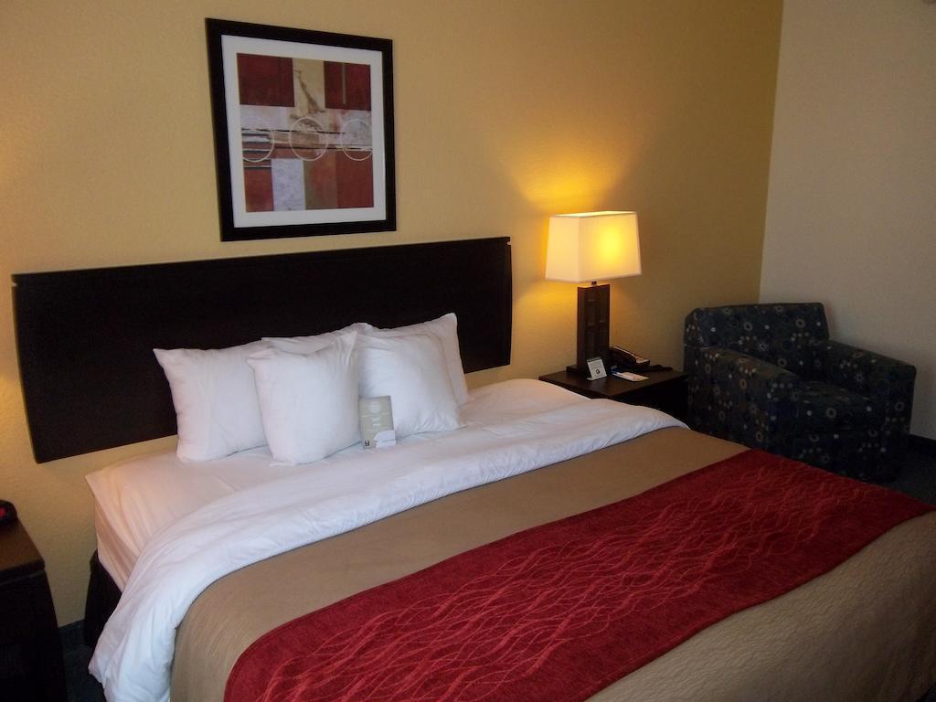 Comfort Inn & Suites Northeast - Gateway Sint-Petersburg Buitenkant foto