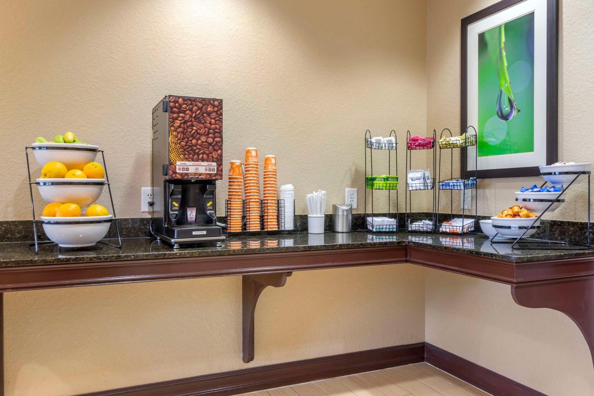 Comfort Inn & Suites Northeast - Gateway Sint-Petersburg Buitenkant foto
