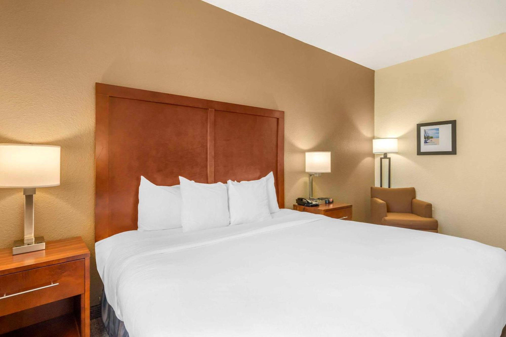 Comfort Inn & Suites Northeast - Gateway Sint-Petersburg Buitenkant foto
