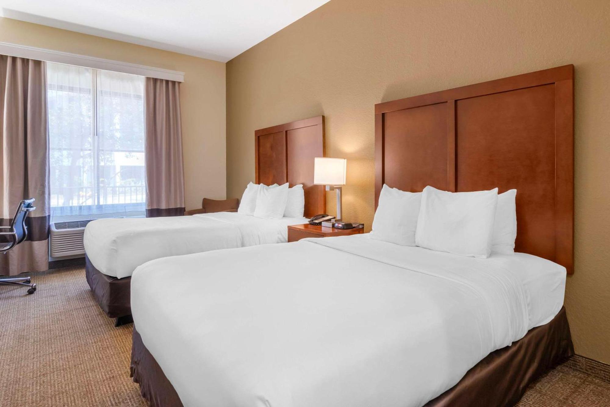 Comfort Inn & Suites Northeast - Gateway Sint-Petersburg Buitenkant foto