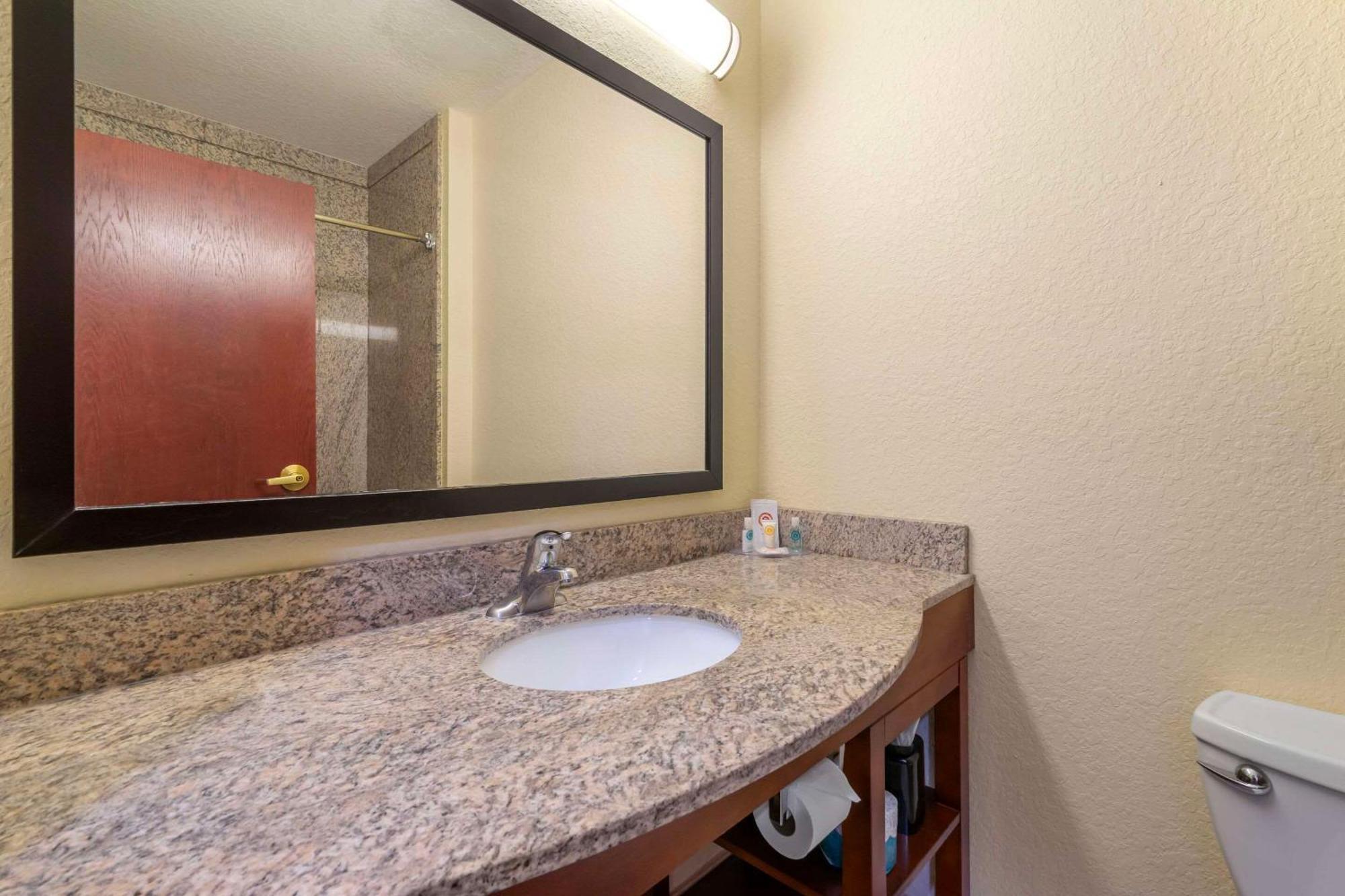 Comfort Inn & Suites Northeast - Gateway Sint-Petersburg Buitenkant foto
