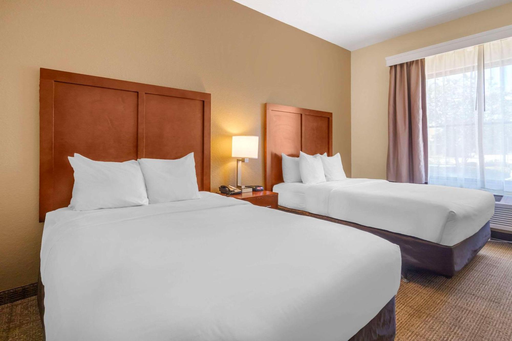 Comfort Inn & Suites Northeast - Gateway Sint-Petersburg Buitenkant foto