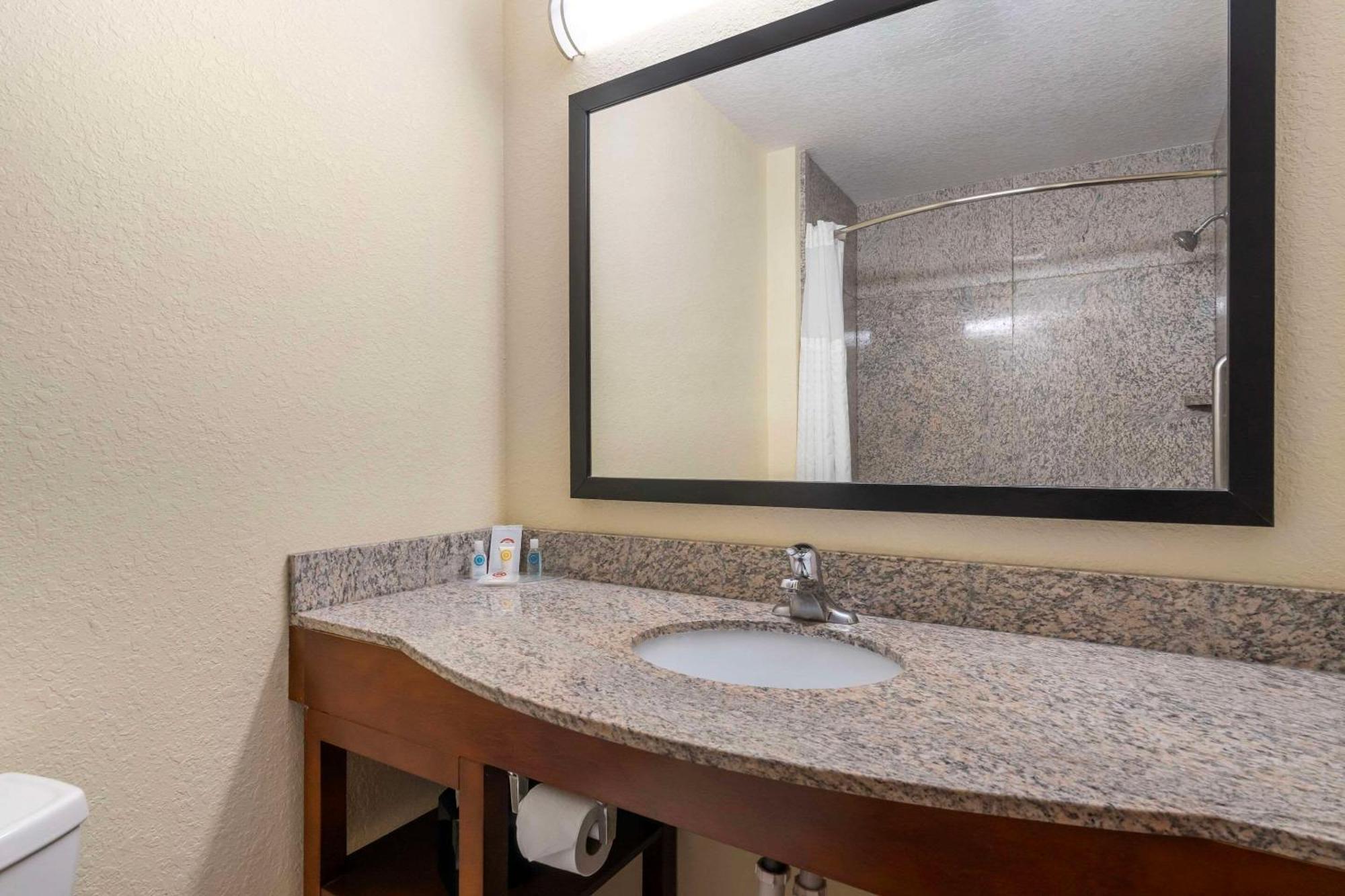 Comfort Inn & Suites Northeast - Gateway Sint-Petersburg Buitenkant foto
