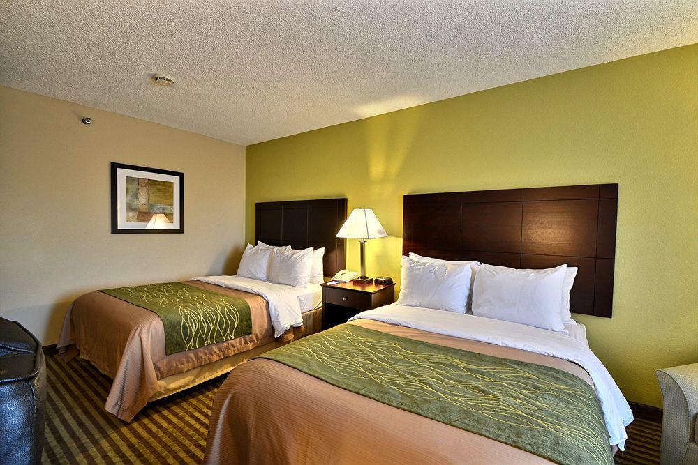 Comfort Inn & Suites Northeast - Gateway Sint-Petersburg Buitenkant foto
